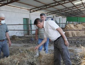 Atakum Belediyesi’nden Kırsal Kalkınmaya Destek