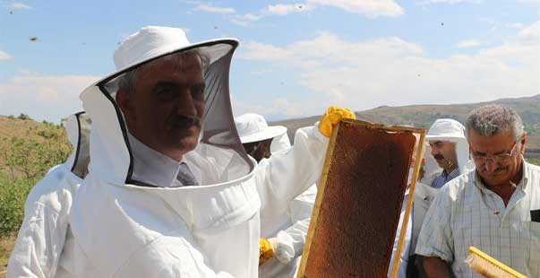 Erzincan’da Bal Hasadı Başladı