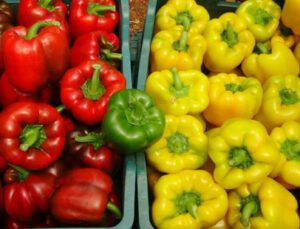 Paprika Biberi Kilosu 13 Liradan Hasat Edildi