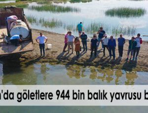 Çorum’Da Göletlere 944 Bin Balık Yavrusu Bırakıldı