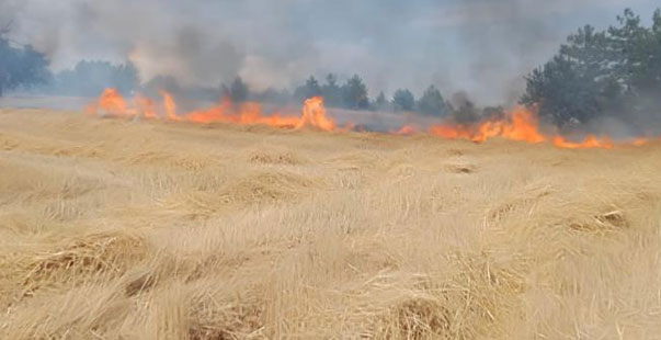 Karabük’te Ekin Tarlasında Yangın