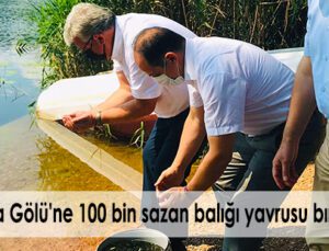 Gaga Gölü’Ne 100 Bin Sazan Balığı Yavrusu Bırakıldı