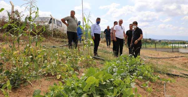 Gemlik Belediyesi Ikinci Serayı Kuruyor