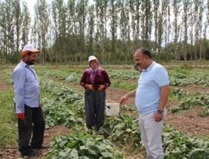 Iğdır İl Tarım Müdürü Yolcu, Tarlada Çalışan Çiftçileri Dinledi