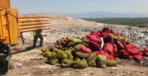 4 Ton Kaçak Midye Ele Geçirildi