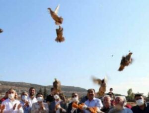 32 Köyde 900 Adet Kınalı Keklik Doğaya Bırakıldı