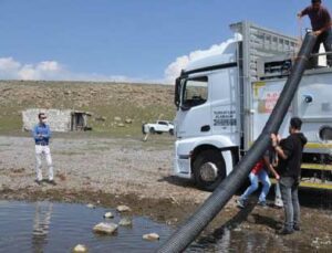 2 Milyon Sazan Yavrusu Göllere Bırakıldı