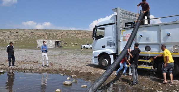 2 Milyon Sazan Yavrusu Göllere Bırakıldı