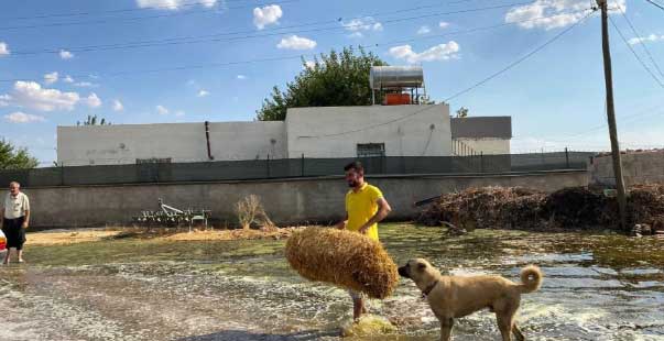 Tarım Için Kullanılan Su Mahalleyi Gölete Çevirdi