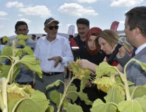 Geleneksel Tarla Günü Yapıldı