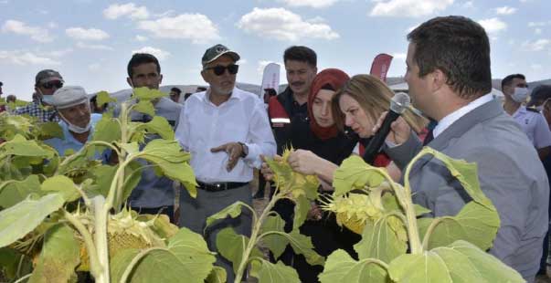 Geleneksel Tarla Günü Yapıldı