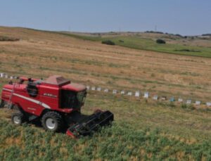 Tekirdağ’Da Yılın Ilk Nohut Hasadı