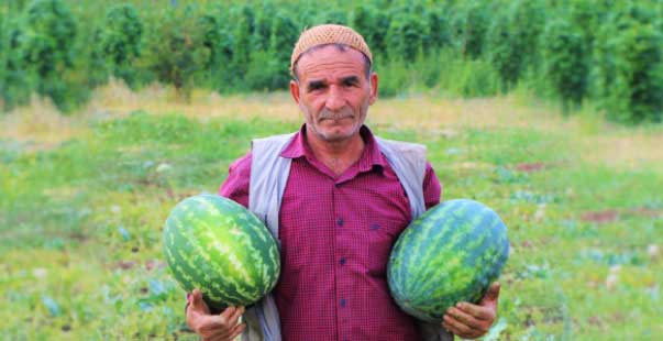 Kendi Ektiği Sebzeleri 15 Yıldır Yol Kenarındaki Tezgahında Satıyor