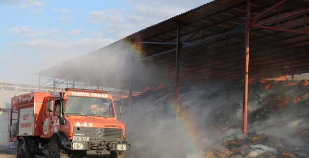 Taşova’da Besi Çiftliğinde Yangın Çıktı
