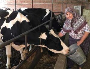 “Gençler Hayvan Bakmak Istemeyince Sektörde Tehlike Çanları Çalmaya Başladı”