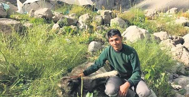 Çobanlık Yaparak Hayalini Kurduğu Tıp Fakültesini Kazandı