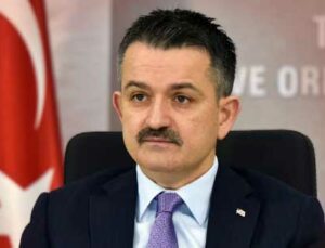 11 Kasımda 252 Milyon Fidan Toprakla Buluşacak