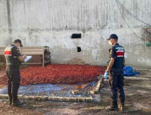 Hayvan Damında Ürettikleri Salçayı Vatandaşa Yedireceklerdi