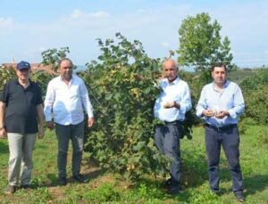 Fındık Üreticisi Destek Alamıyor