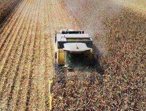 Tarım-Üfe Yıllık Yüzde 24,69 Arttı