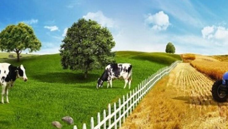 Agrivision 2021’De Geleceğin Tarım Ve Hayvan Besleme Yöntemleri Masaya Yatırıldı