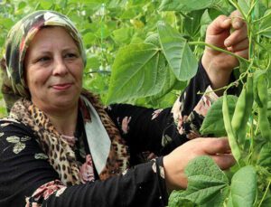 Devlet Destek Verdi, Kendi Işinin Patronu Oldu