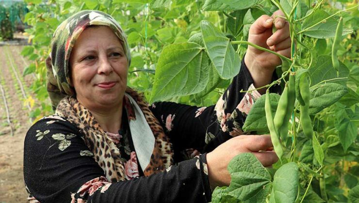 Devlet Destek Verdi, Kendi Işinin Patronu Oldu