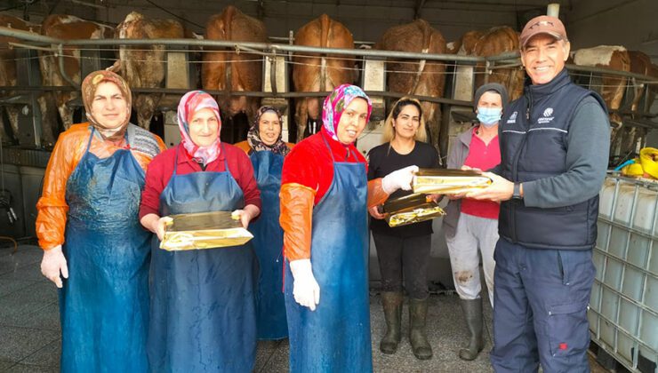 Büyükbaş Hayvan Çiftliğinde, 15 Ekim Dünya Kadın Çiftçiler Günü Kutlandı