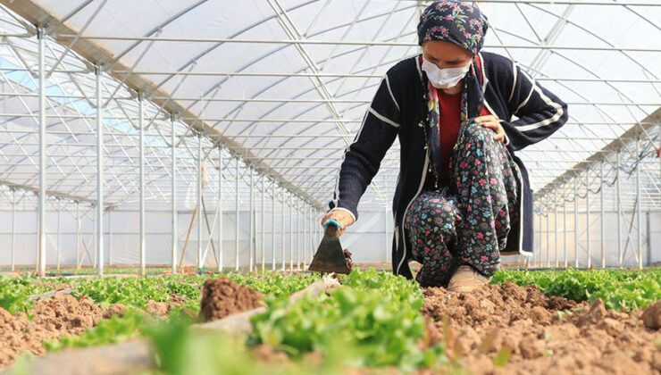 Tarım Işçisi Kadın Devlet Desteğiyle Sera Sahibi Oldu