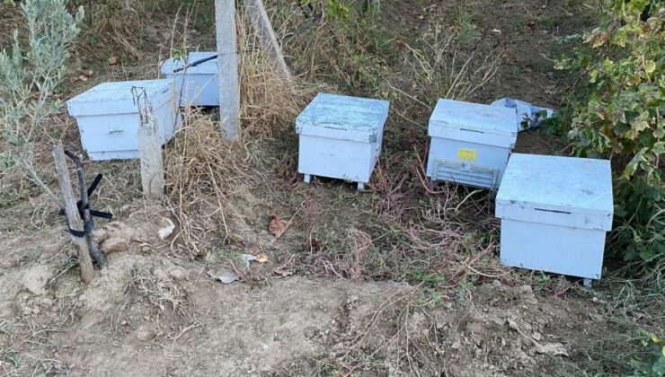 Arı Kovanına Dadanan Hırsızlar Yakalandı