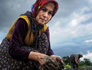 Bu Toprakların Kanalı Çiftçi Tv 15 Ekim Dünya Kadın Çiftçiler Günü’nü Kutlar