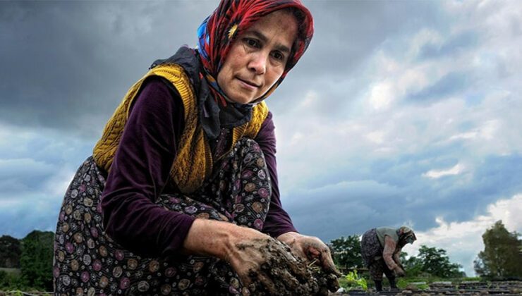 Bu Toprakların Kanalı Çiftçi Tv 15 Ekim Dünya Kadın Çiftçiler Günü’nü Kutlar