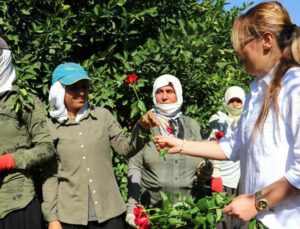 Tarlada Çalışırken Gül Alan Kadınlar Şaşırdı!