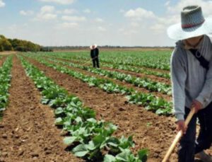 Doğan: “Gübre, Bir Yılda Yüzde 200 Zamlandı”