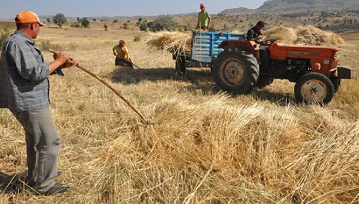 Adana Çiftçiler Birliği Başkanı Doğru: “Buğday Maliyeti Yükseldi, Üretici Ekim Için Kararsız”