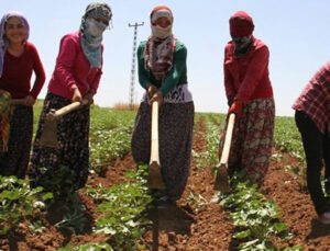 Bakan Pakdemirli’den Çiftçilere Müjde