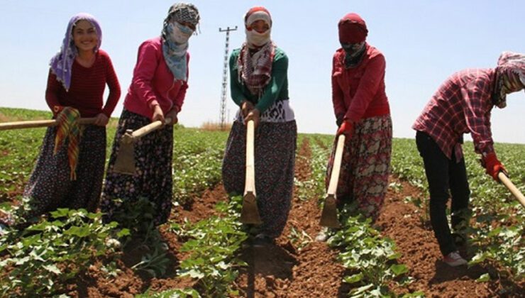 Bakan Pakdemirli’den Çiftçilere Müjde