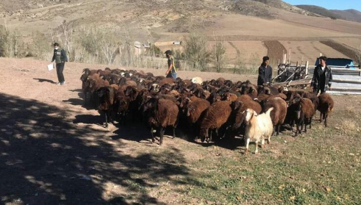 Çiftçinin 50 Yıllık Hayali Gerçek Oldu