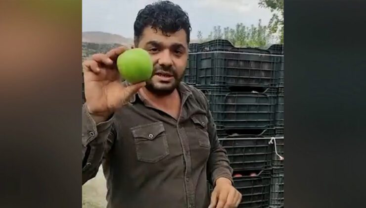 Tarla Market Fiyat Farkı Bir Kez Daha Dudak Uçuklattı