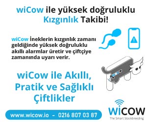 WICOW Türkiye