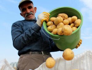 Hasatta Son Günler, Tarlada 2 Markette 5 Lira