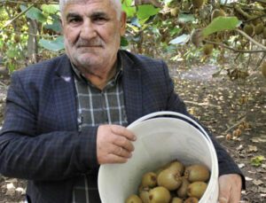 10 Dönüm Bahçeden 280 Bin Lira Kazandı