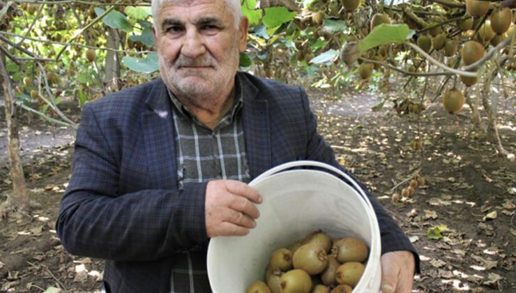 10 Dönüm Bahçeden 280 Bin Lira Kazandı