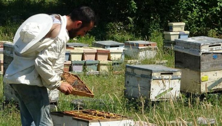 Arıcılığın Başkentinde Genç Arıcı Yetişmiyor