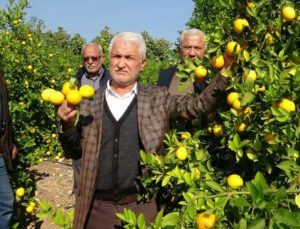 ‘Limon Kooperatif Marketlerinde Satılsın’ Çağrısı