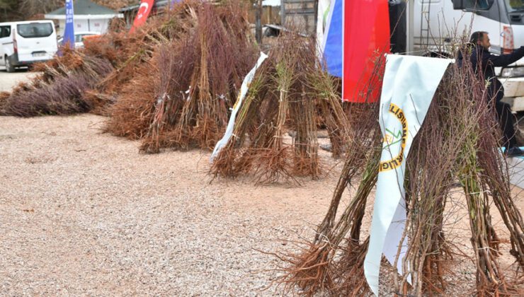 Dağ Yöresi Meyvecilikle Kalkınacak