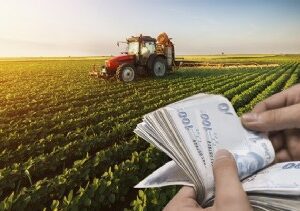Çiftçilere Gelir Vergisi Iadeleri Hatırlatması!
