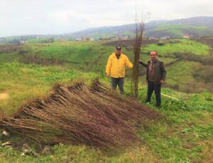 Çiftçilere Badem Ve Muşmula Fidanı Desteği