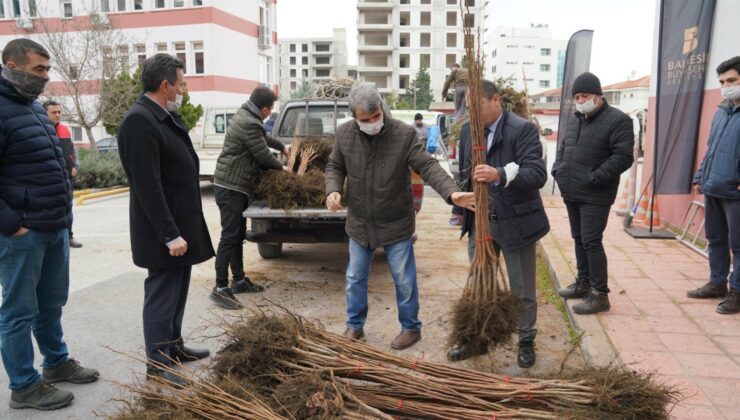 Üreticilere Meyve Fidanı Desteği