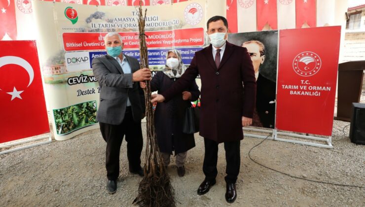 40 Binden Fazla Ceviz Ve Kuşburnu Fidanı Desteği